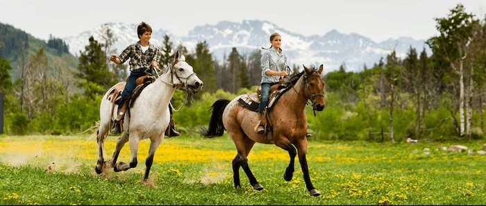 Confident plus-size woman riding Brierley Hill a horse through a field with a smile on her face.